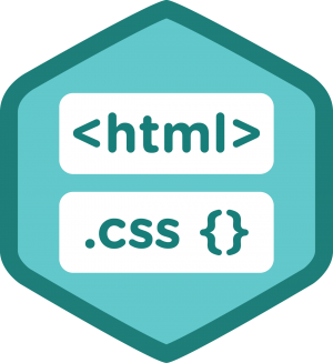 CSS